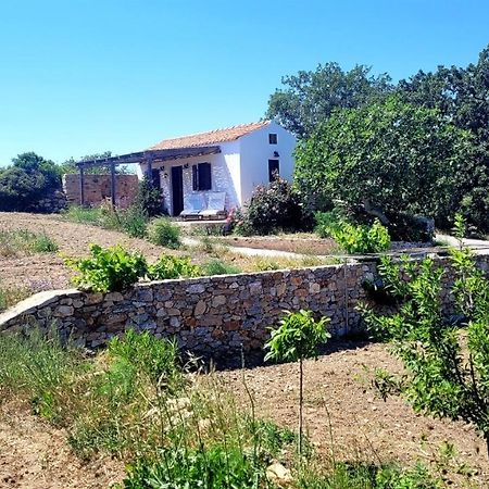 The Pigeon House Villa Potamos  Ngoại thất bức ảnh